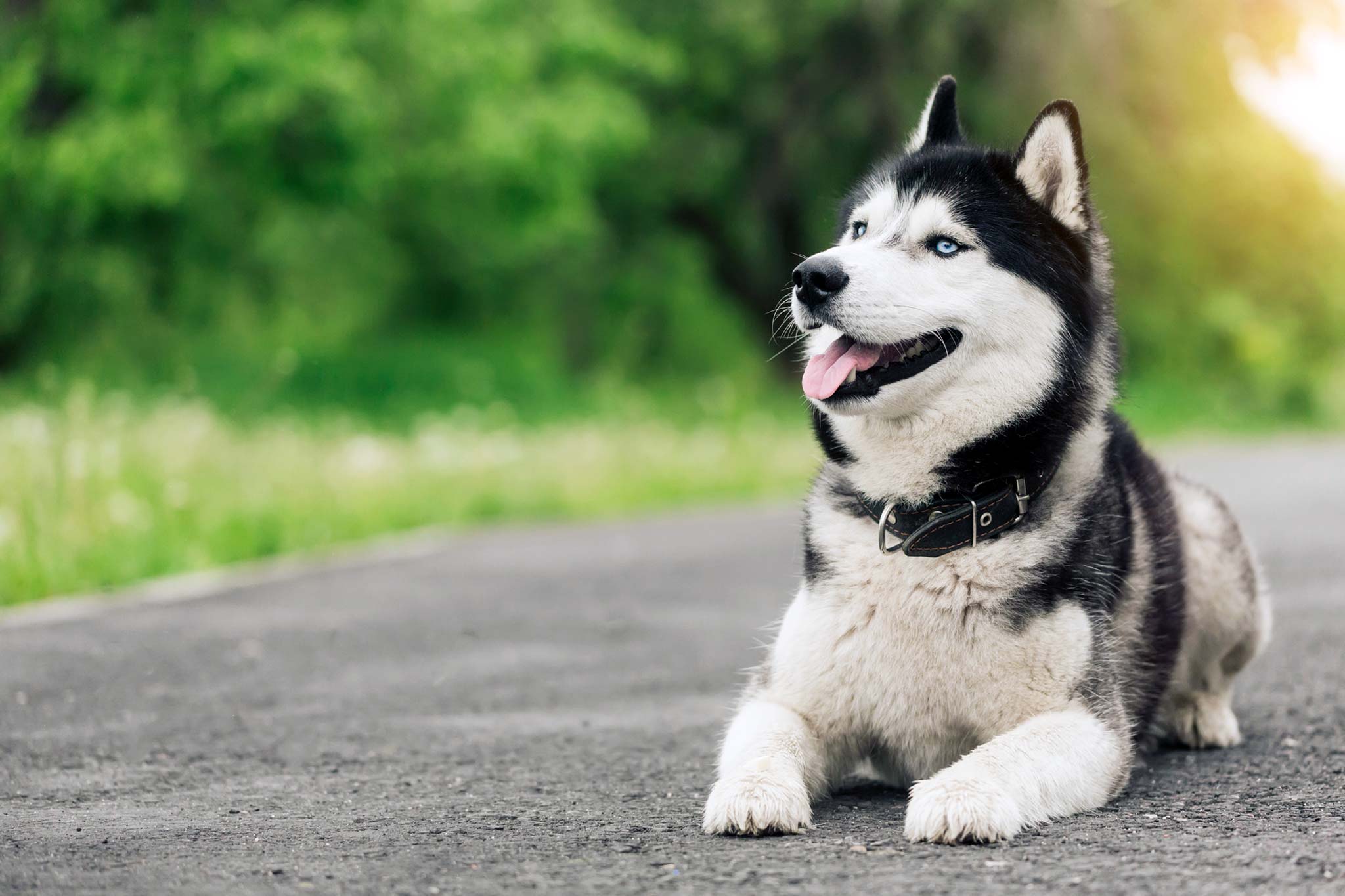 Husky Outdoors