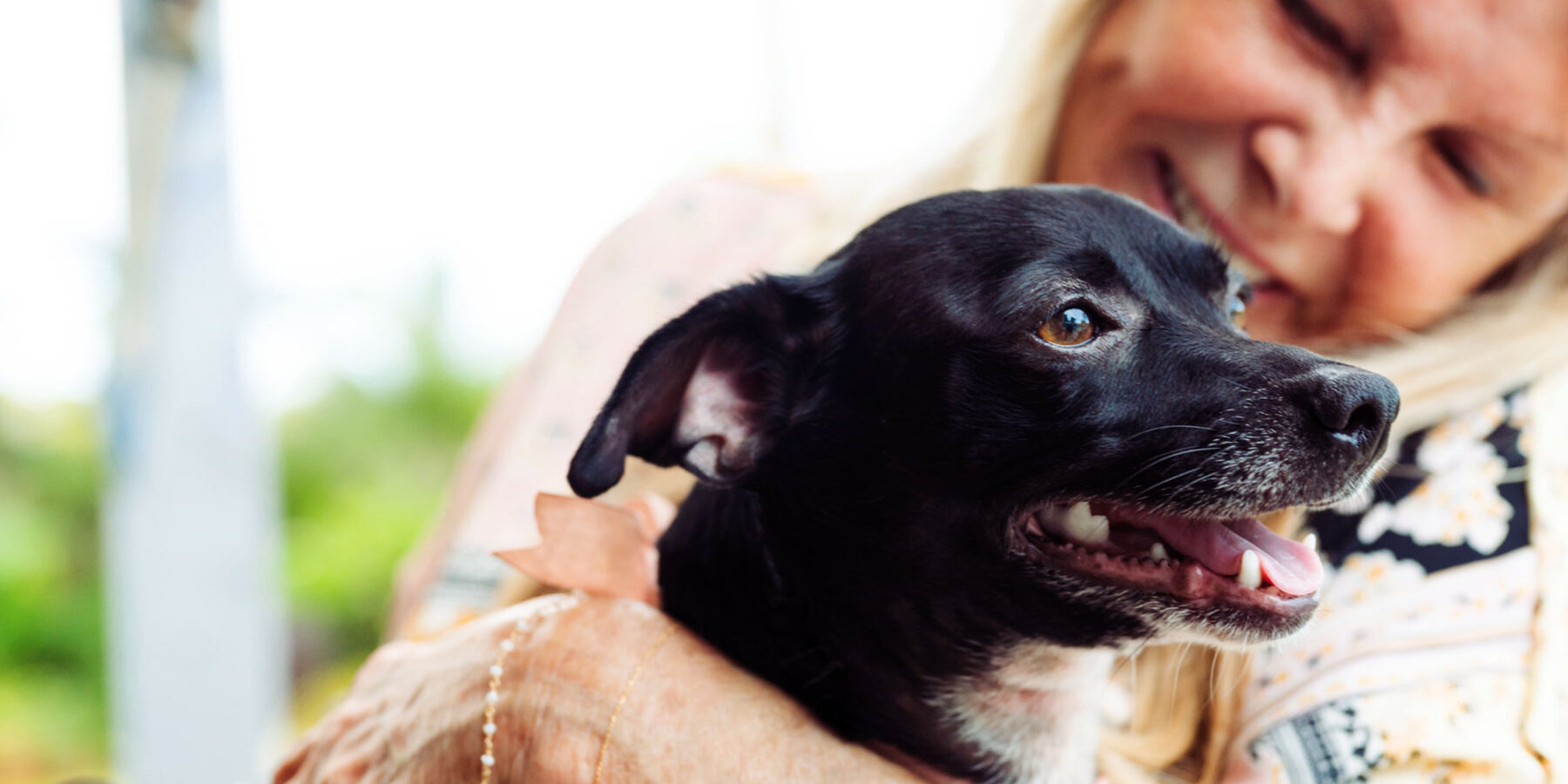 Smiling Dog With Older Owner